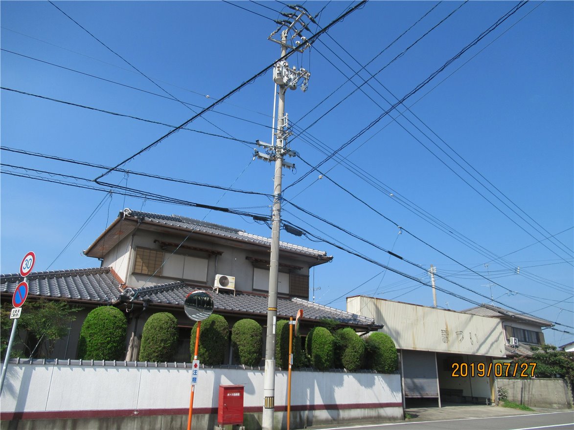 写真 No.1