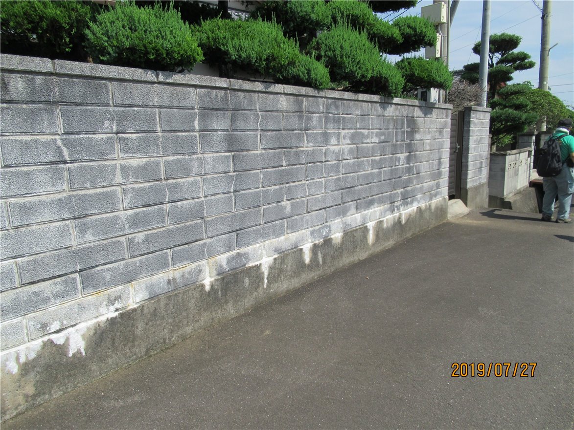 写真 No.10