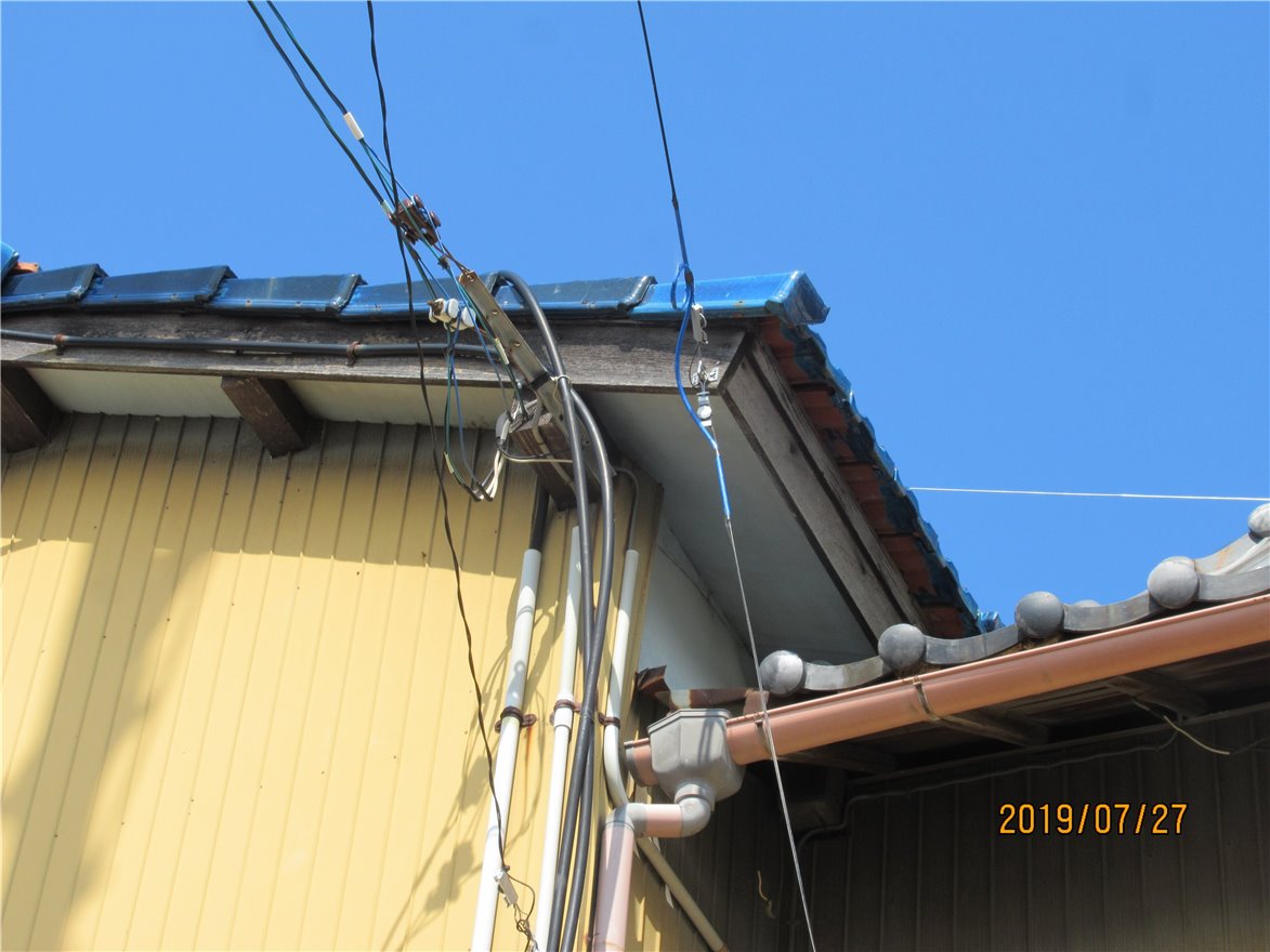 写真 No.2