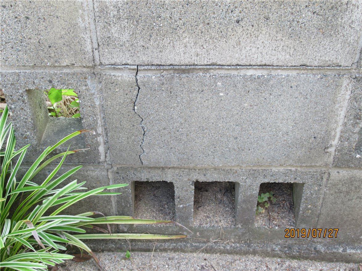 写真 No.4