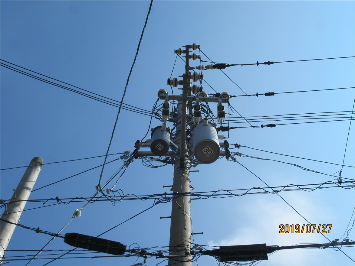 写真 No.6