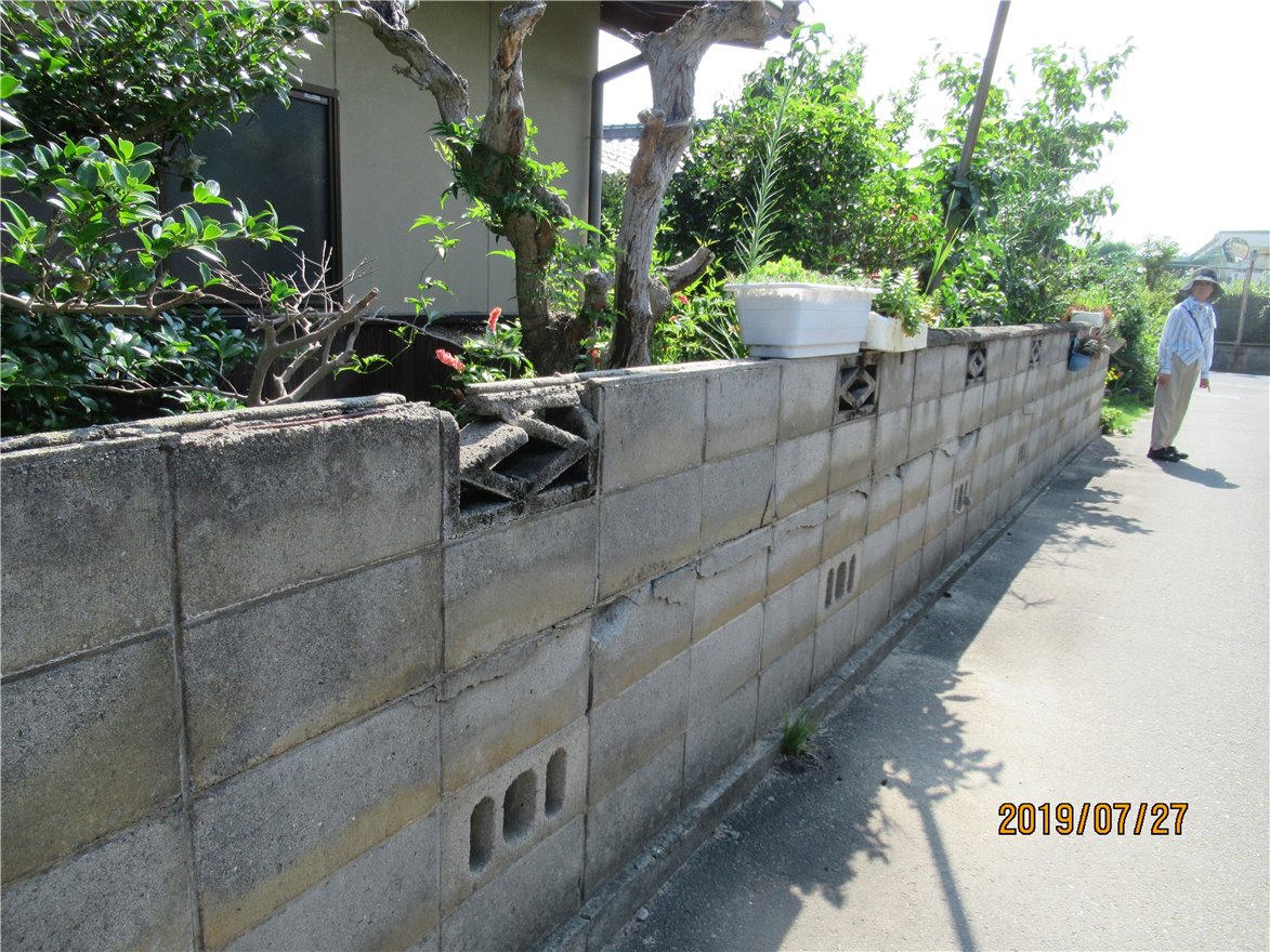 写真 No.7