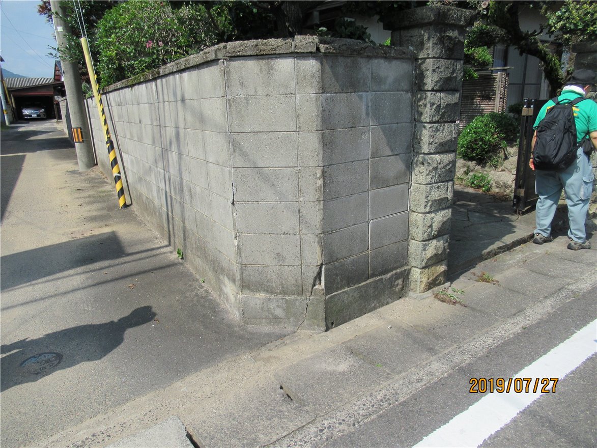 写真 No.8