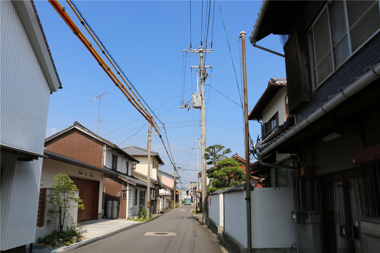 写真 No.11