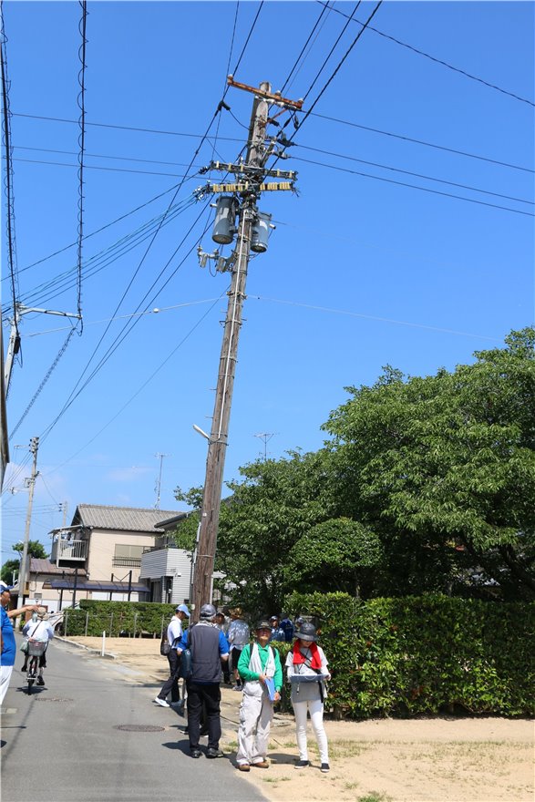 写真 No.19