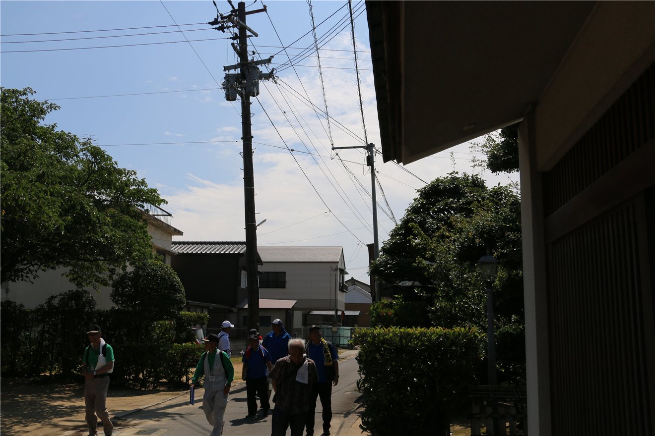 写真 No.20