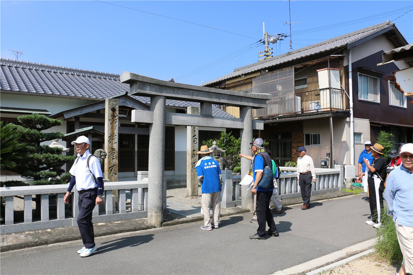 写真 No.8