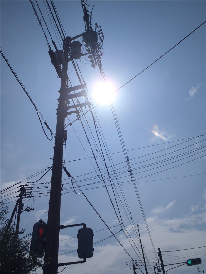 写真 No.11