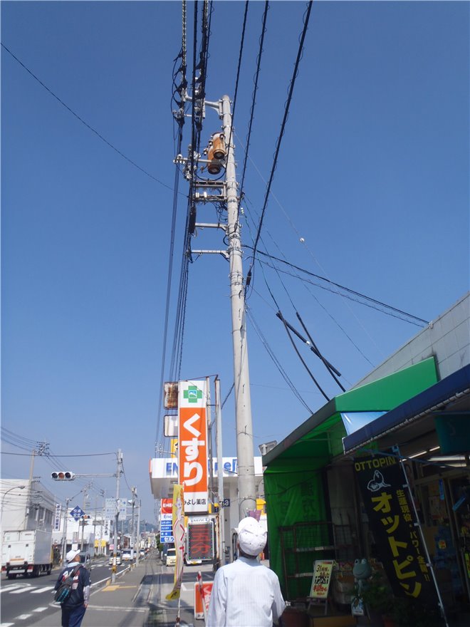 写真 No.16