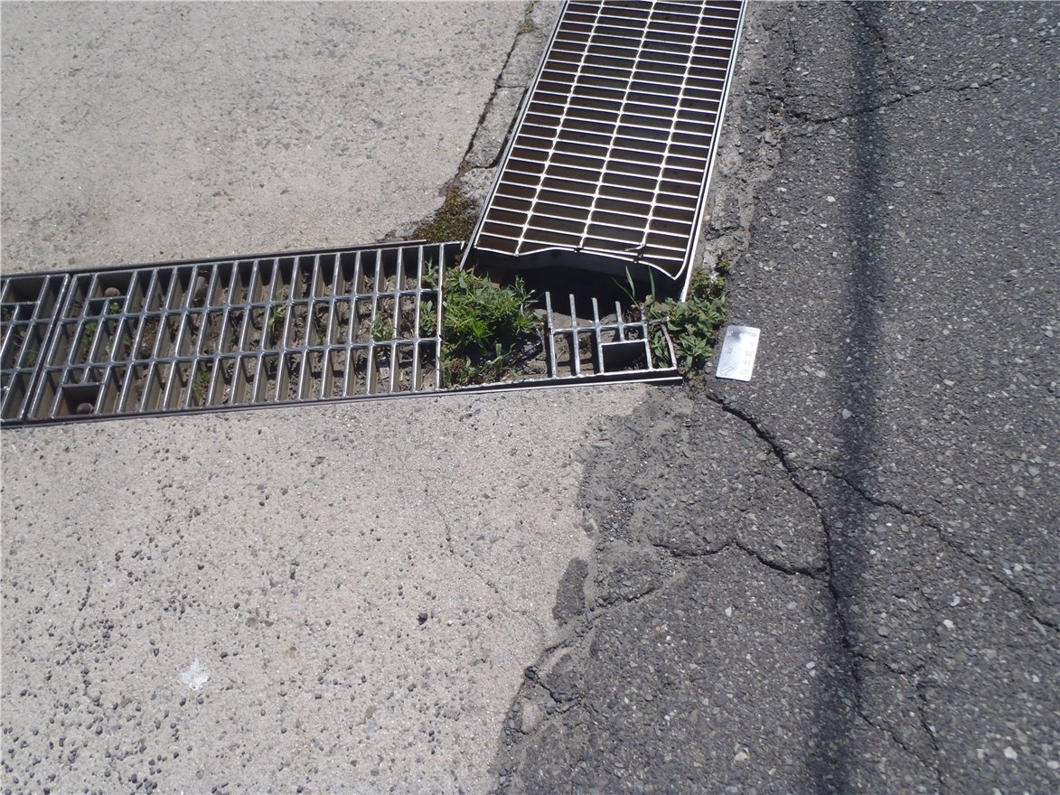 写真 No.23