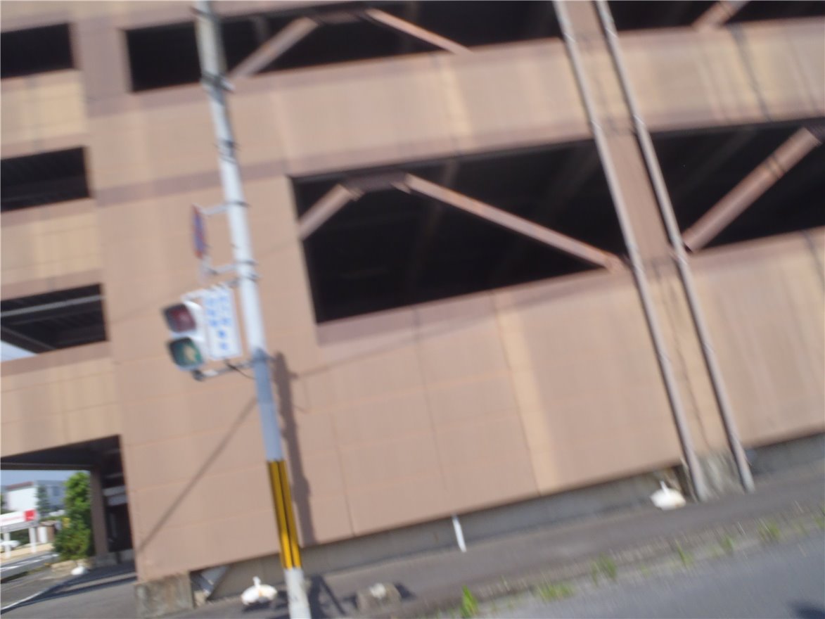 写真 No.24