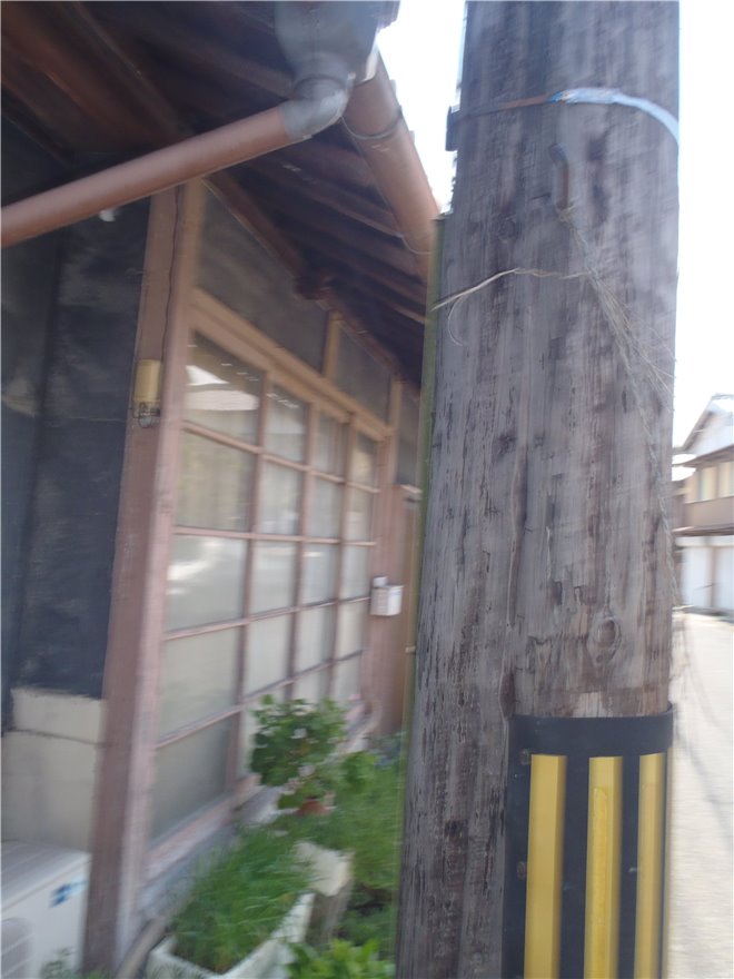 写真 No.33