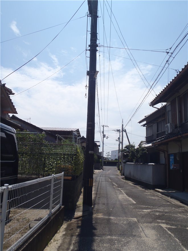 写真 No.35