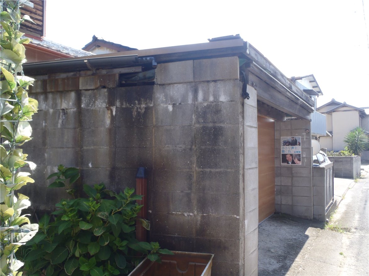 写真 No.36