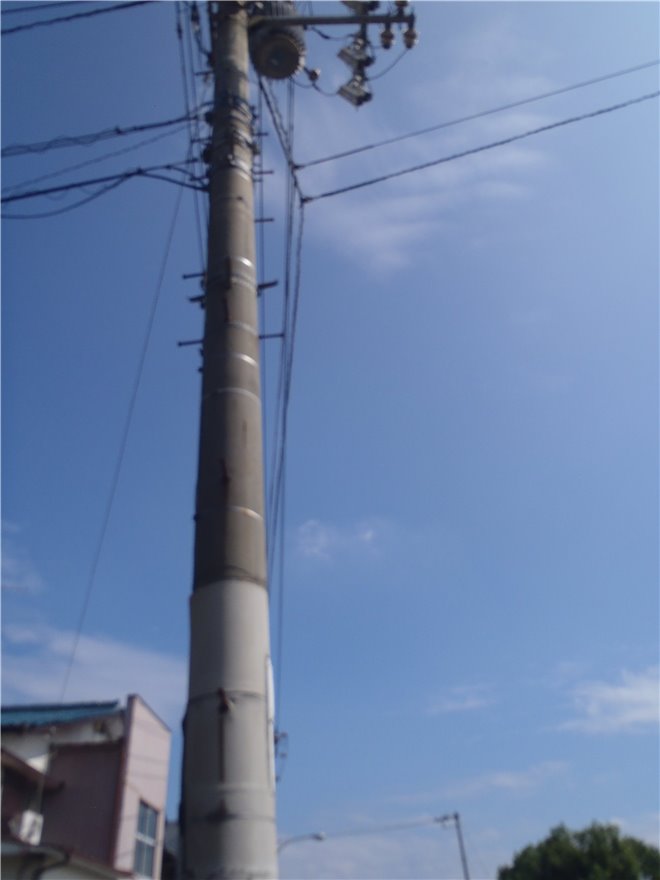 写真 No.6