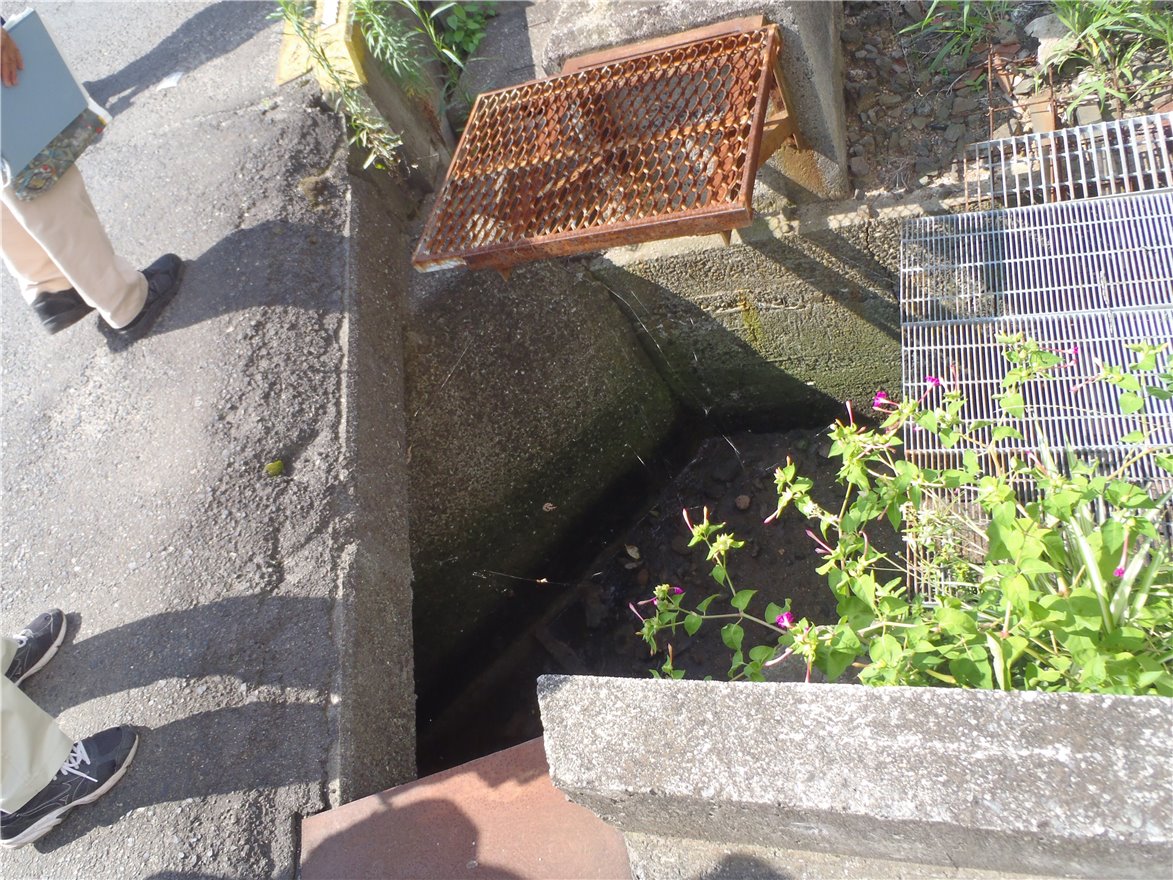 写真 No.7