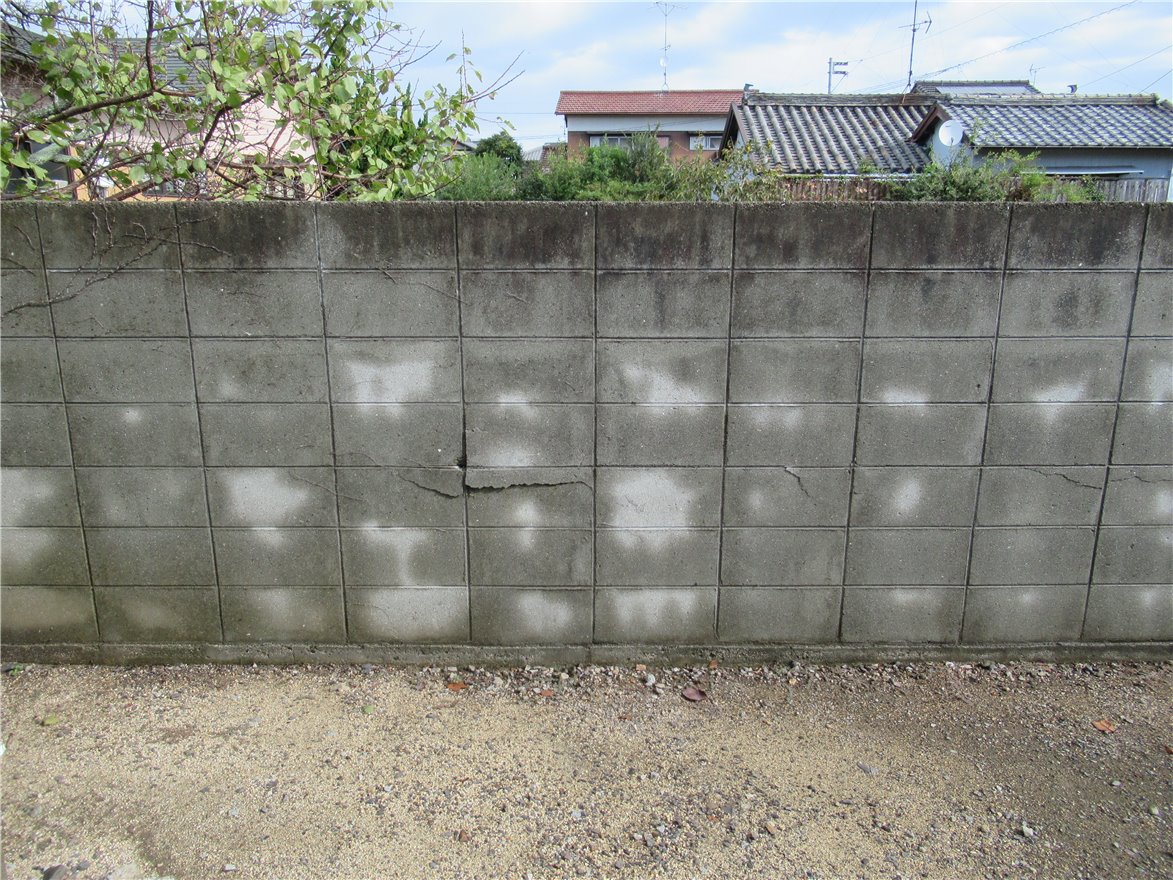 写真 No.10