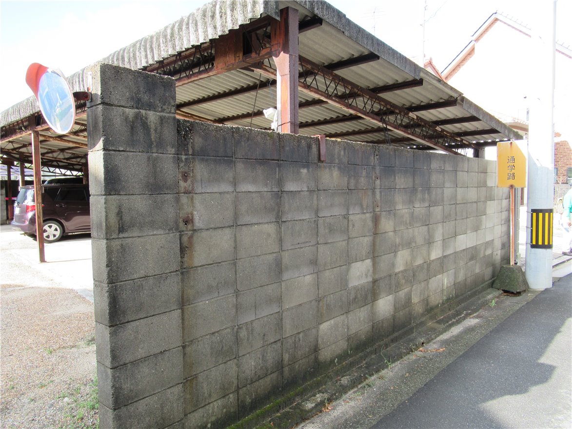 写真 No.11