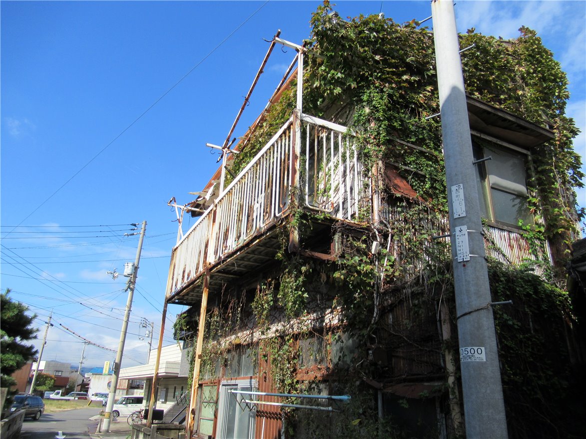写真 No.14