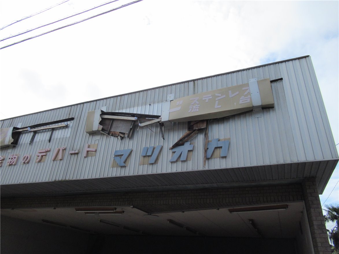 写真 No.19