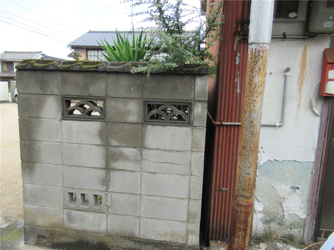 写真 No.21