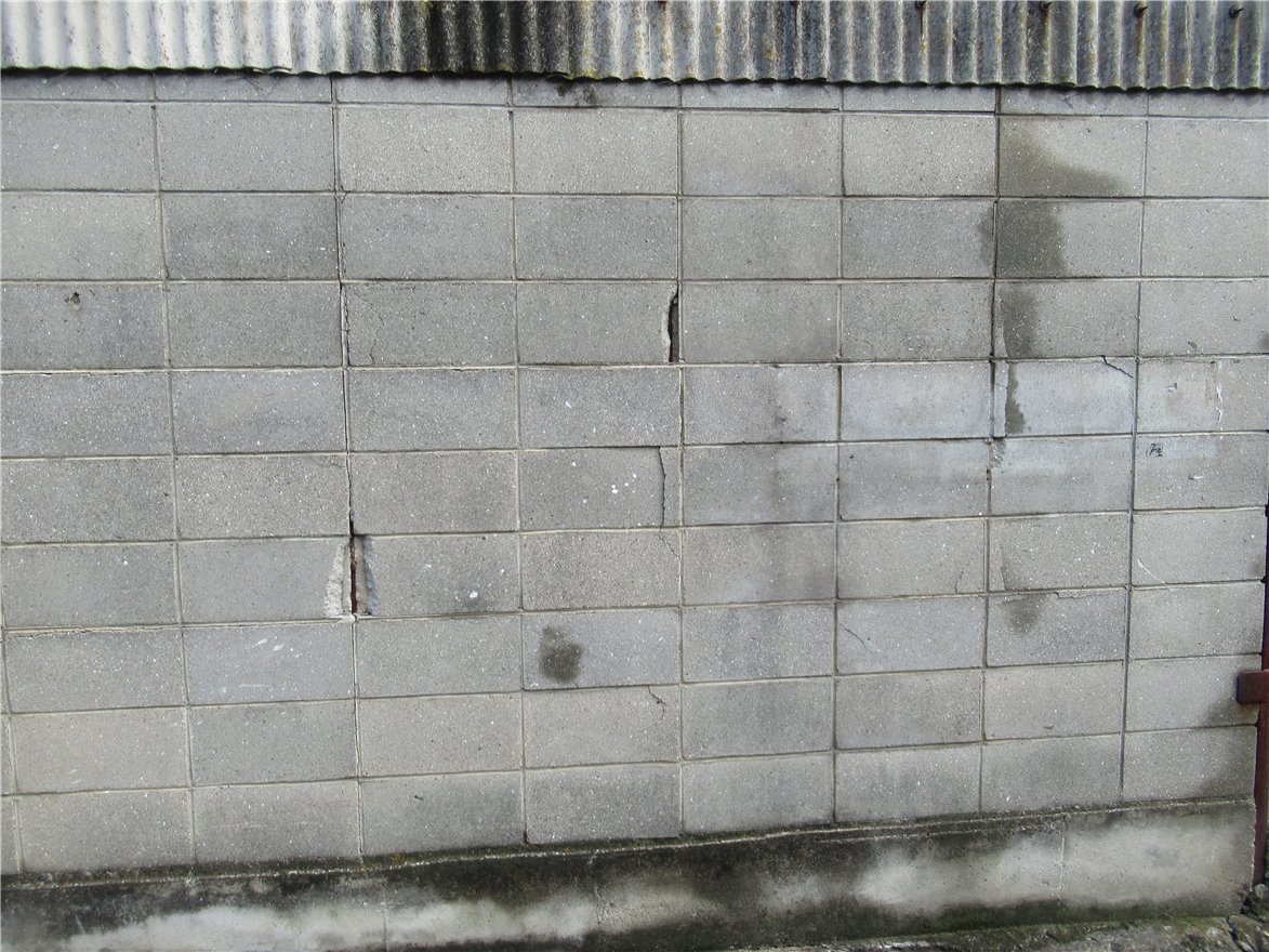写真 No.24