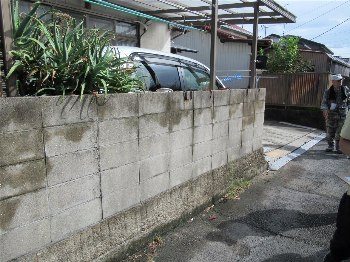 写真 No.31