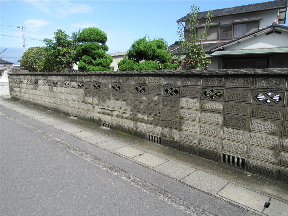写真 No.37