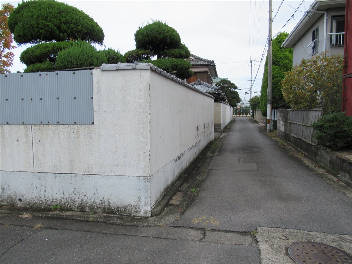 写真 No.40