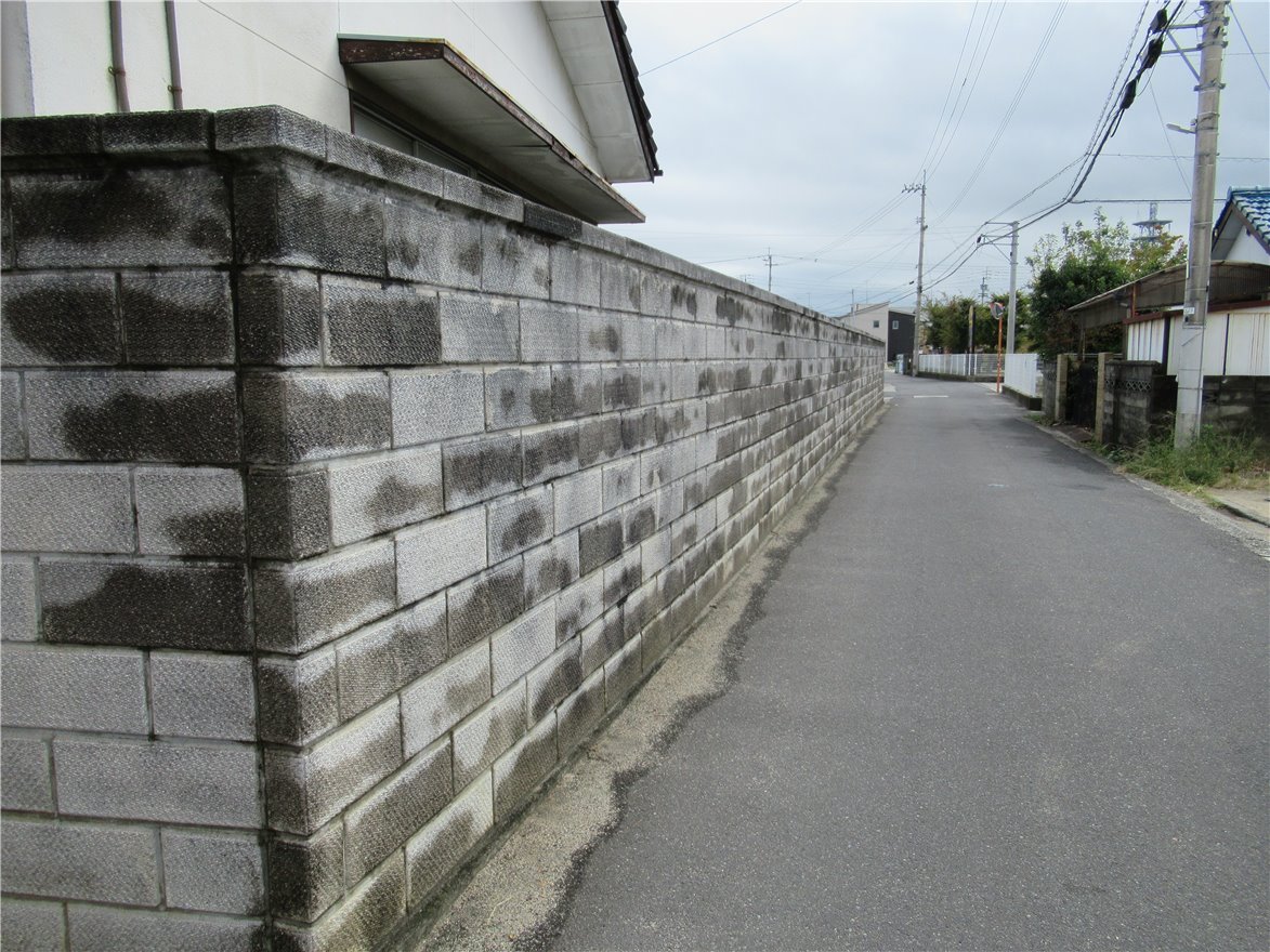 写真 No.41