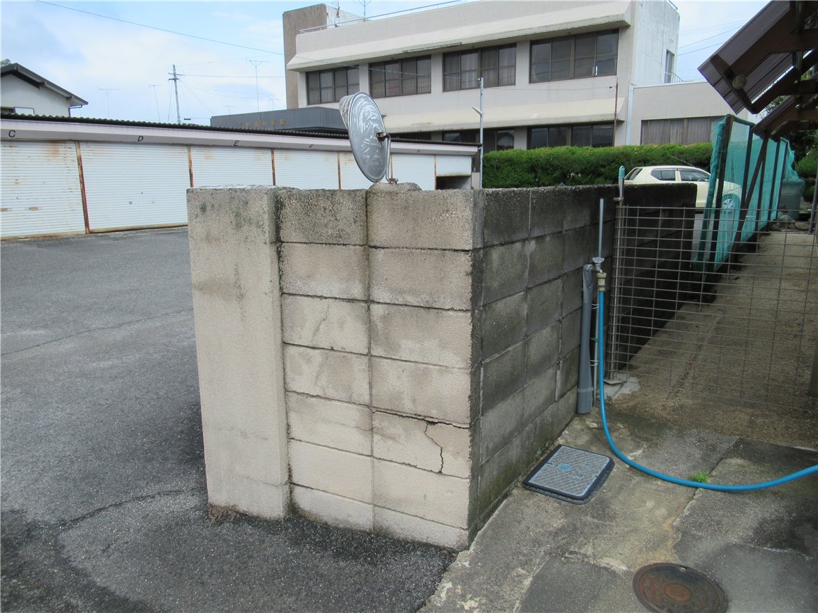 写真 No.43
