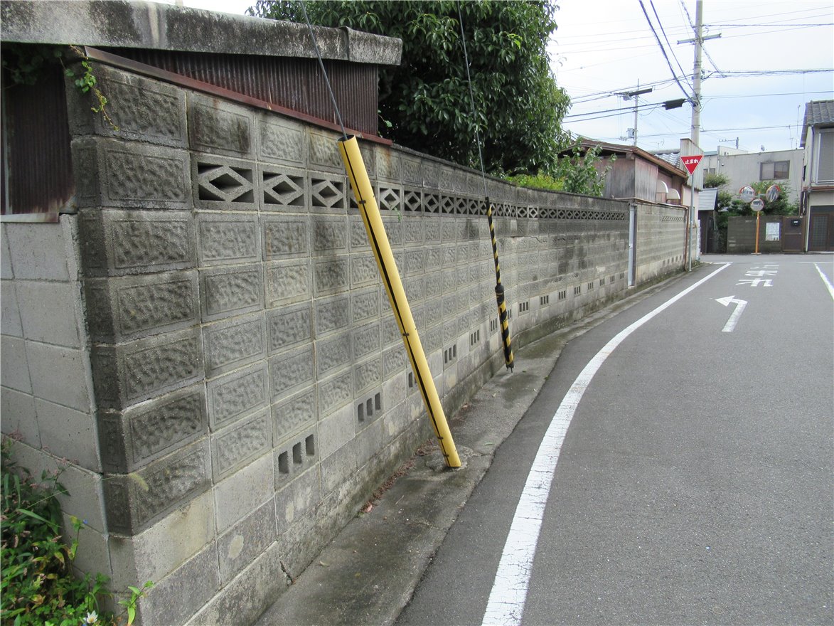 写真 No.45