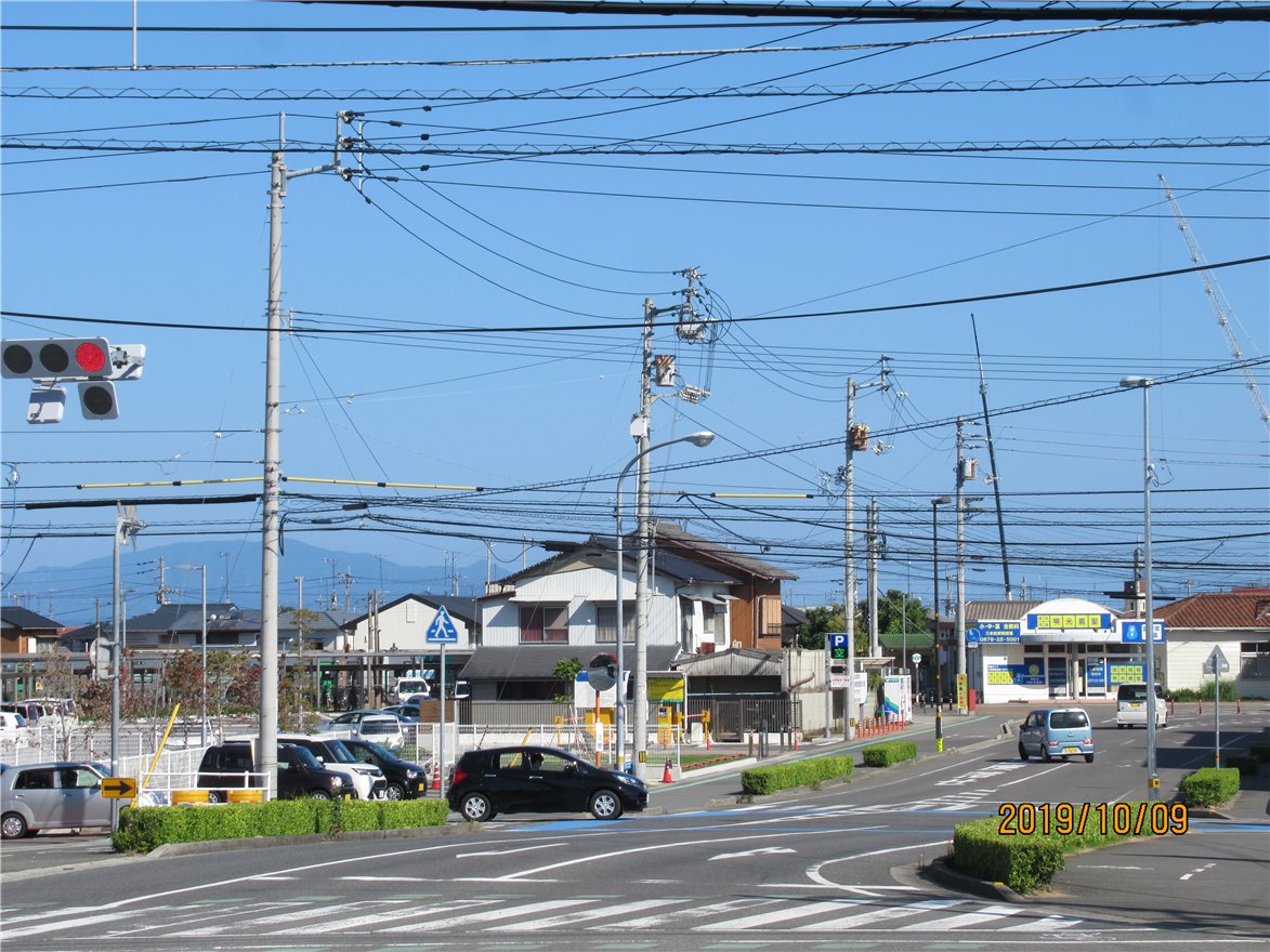 写真 No.11