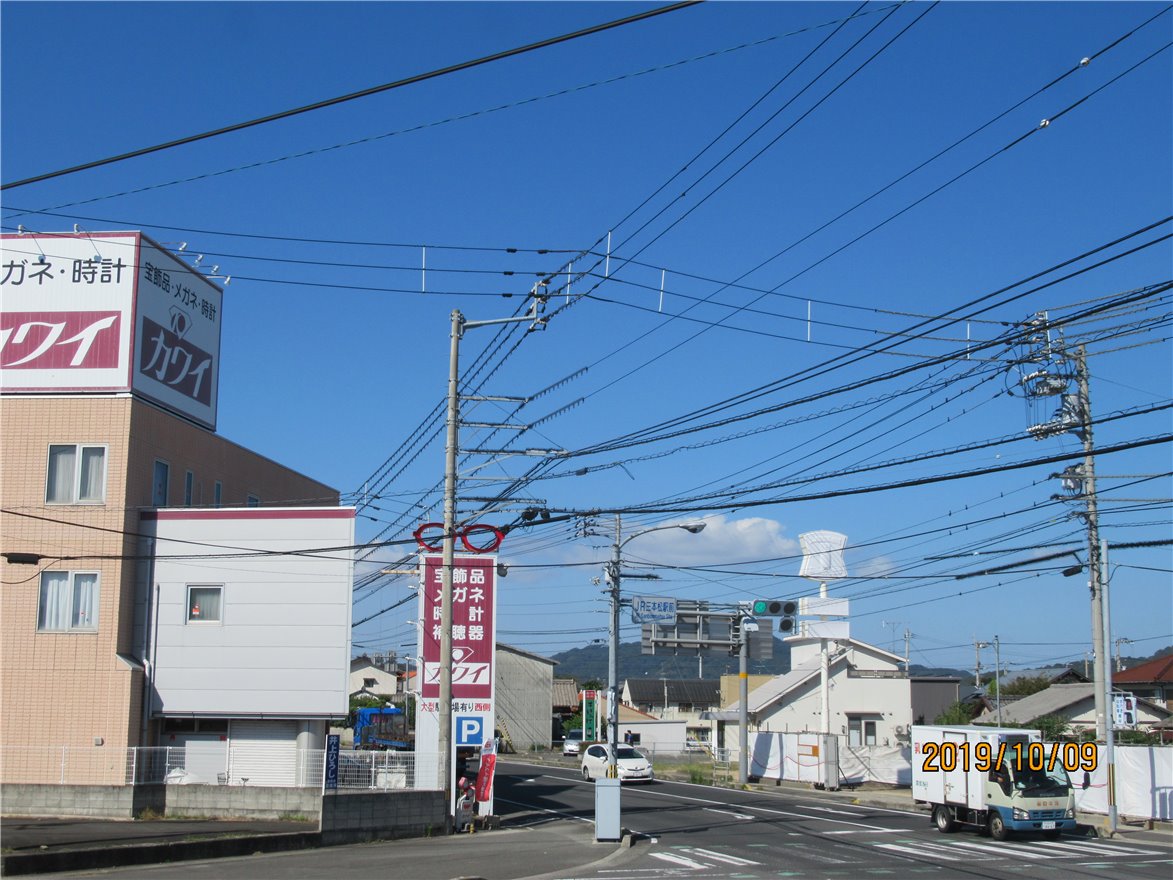 写真 No.12