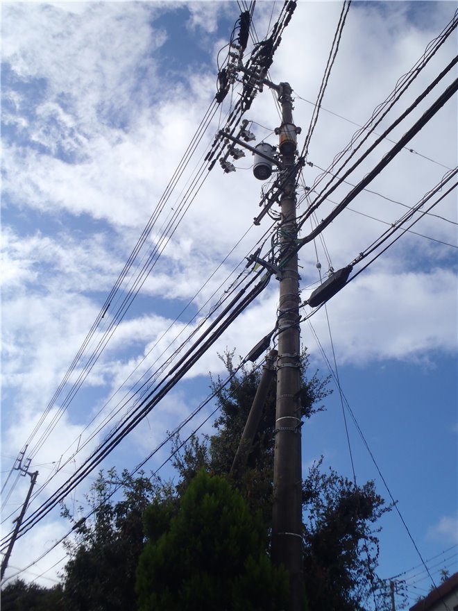 写真 No.01