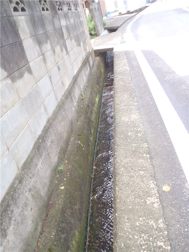 写真 No.06