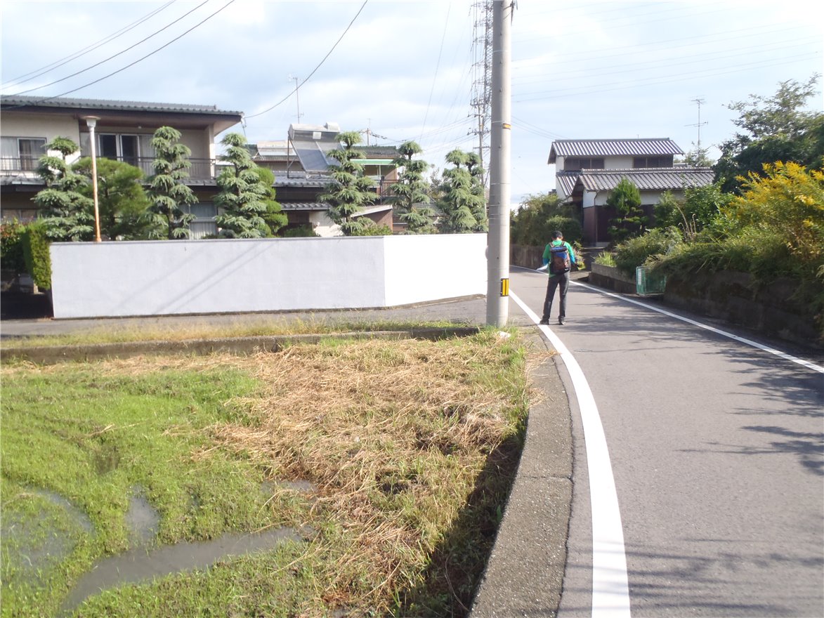 写真 No.11