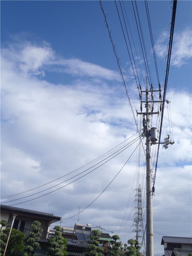 写真 No.12