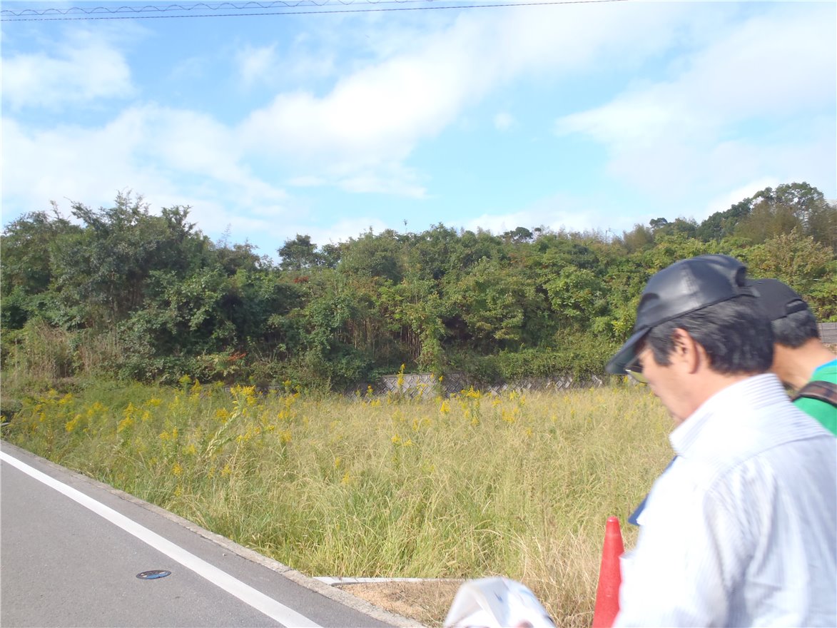 写真 No.16