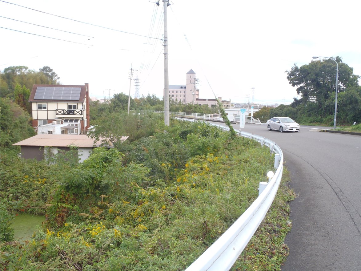 写真 No.18