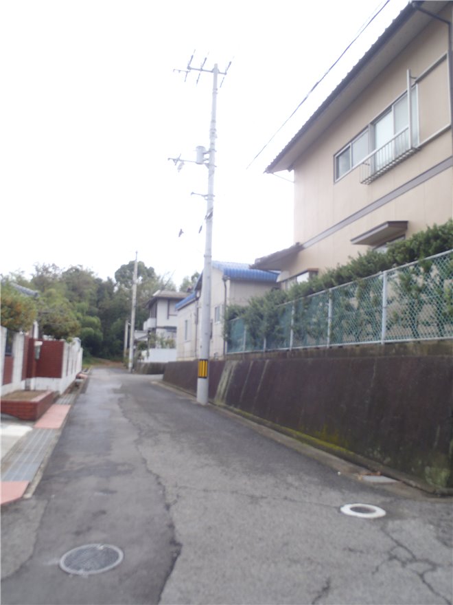 写真 No.24
