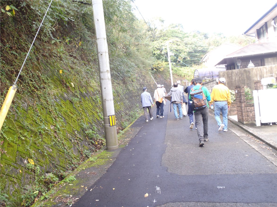 写真 No.25