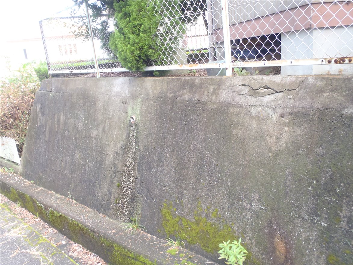 写真 No.26