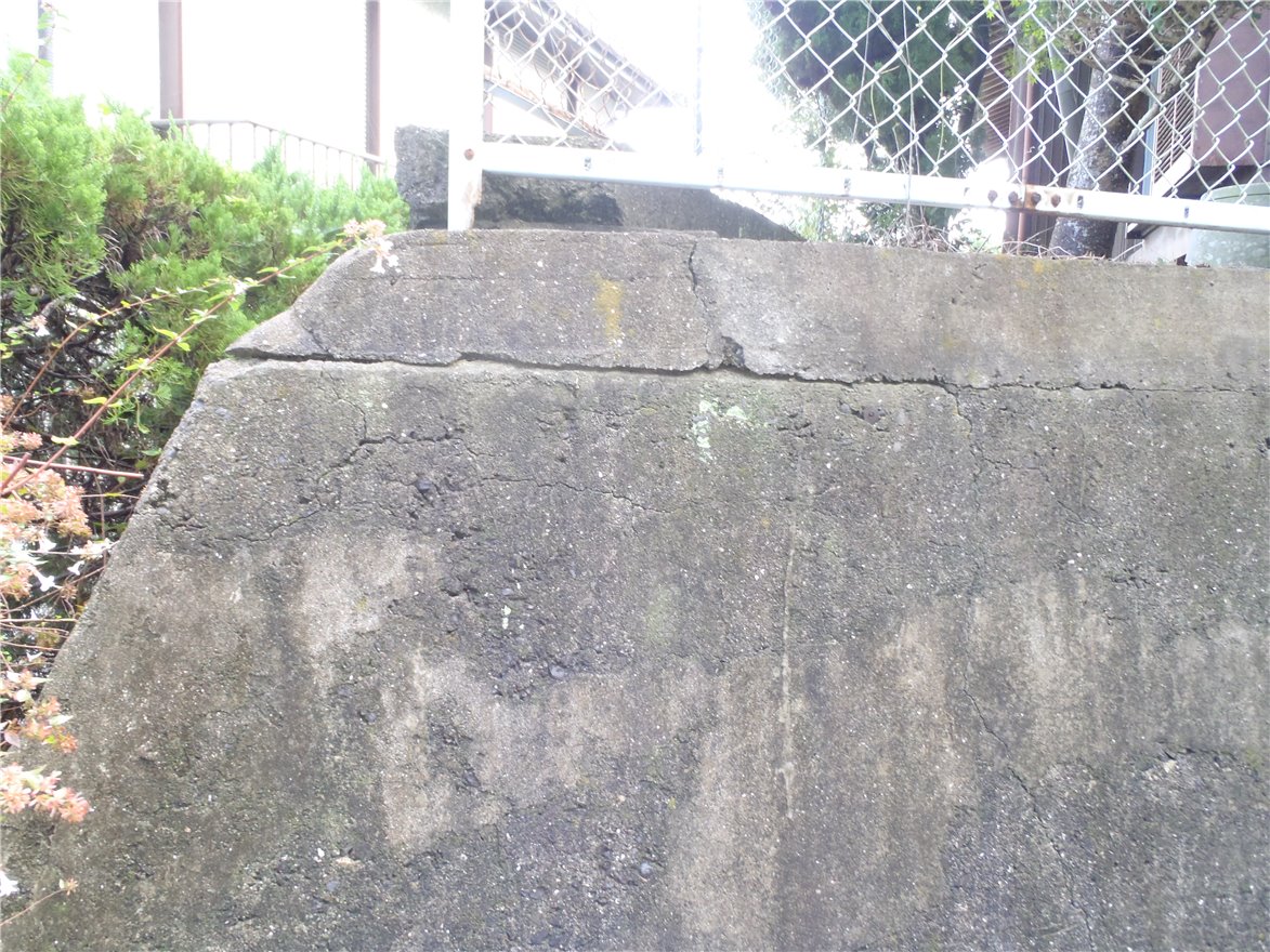 写真 No.27