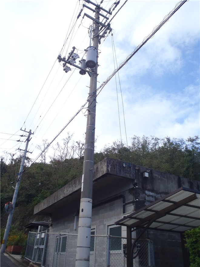 写真 No.28