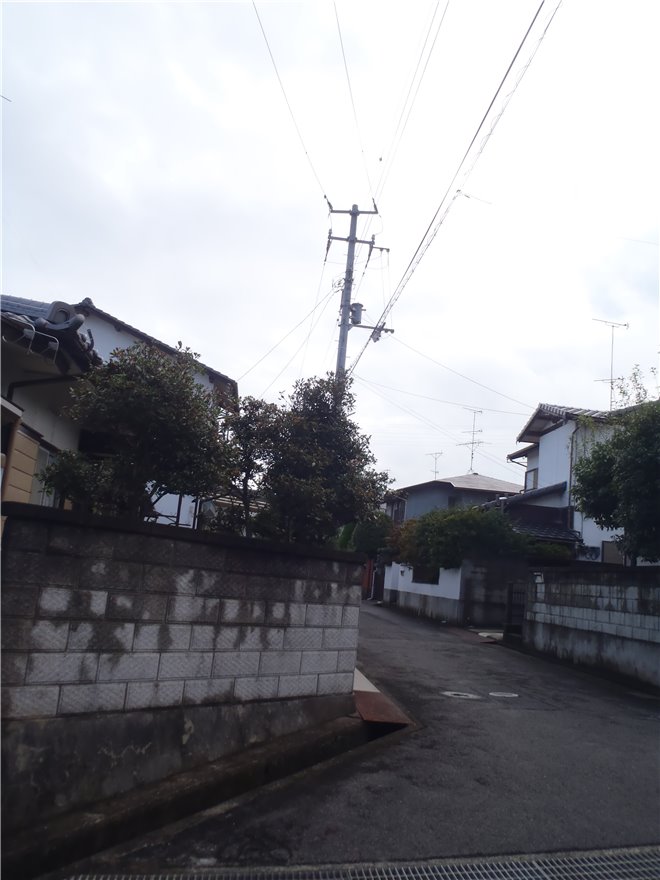 写真 No.29