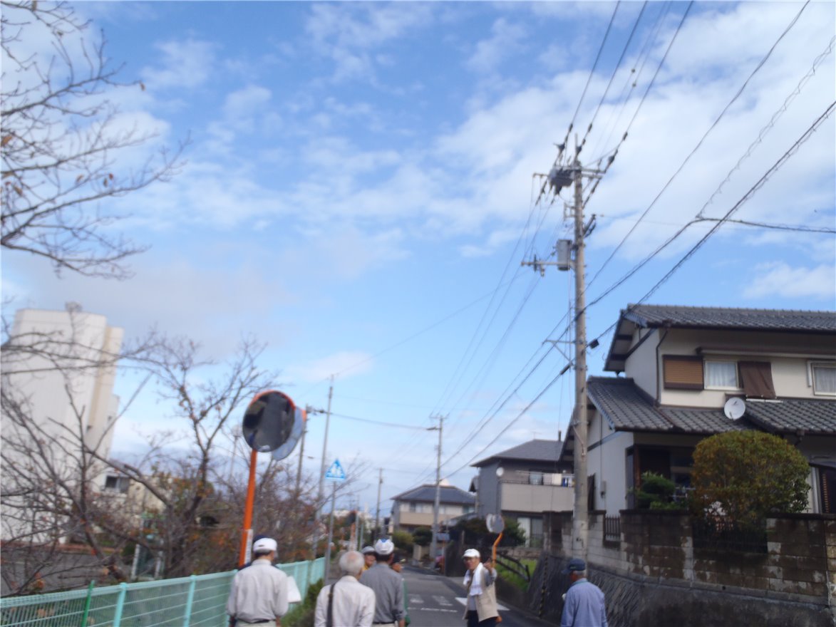 写真 No.30