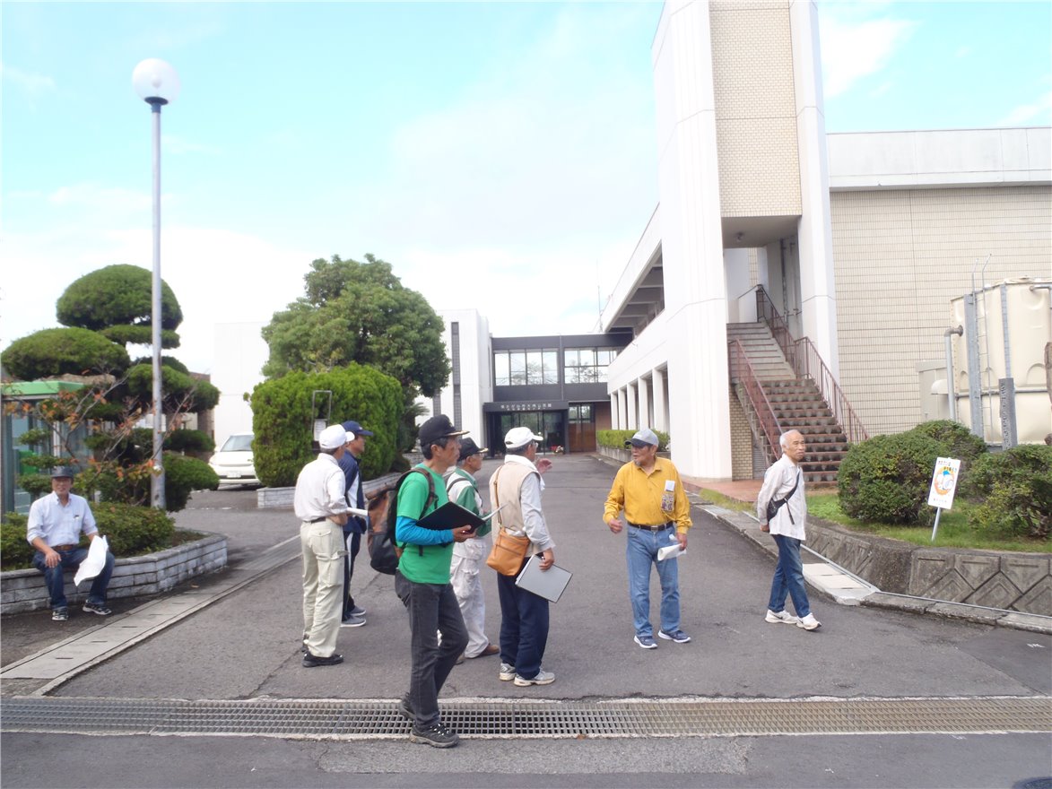写真 No.31