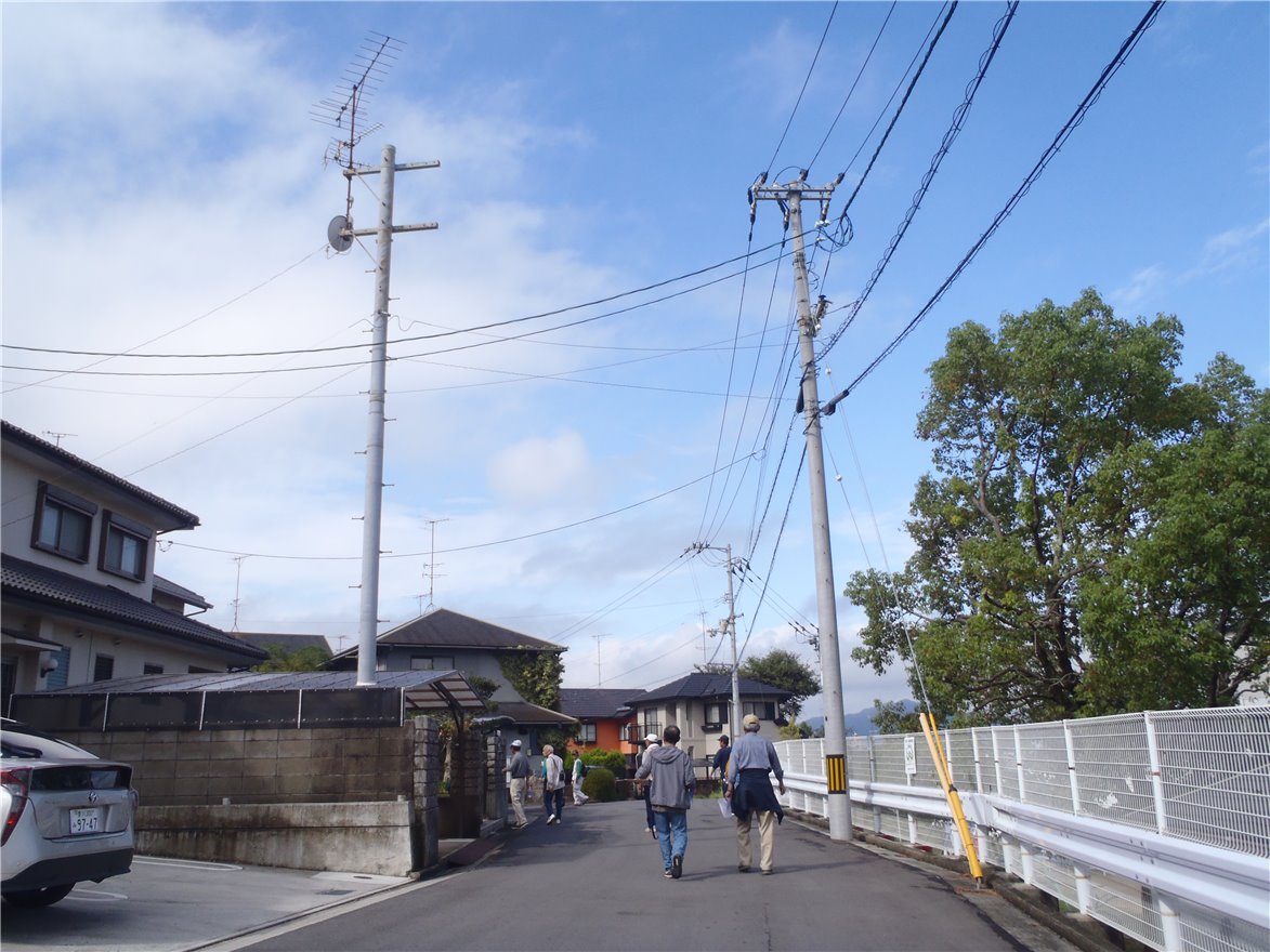 写真 No.33