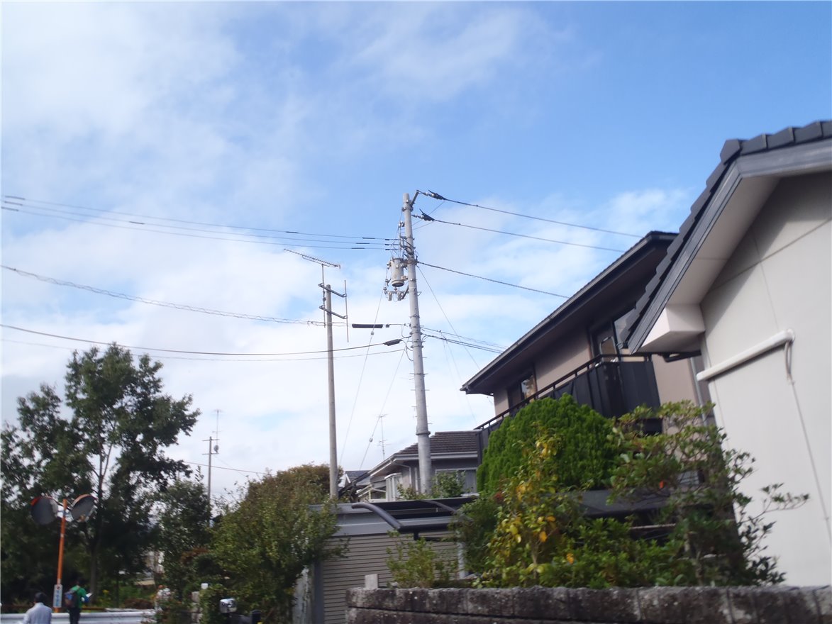 写真 No.34